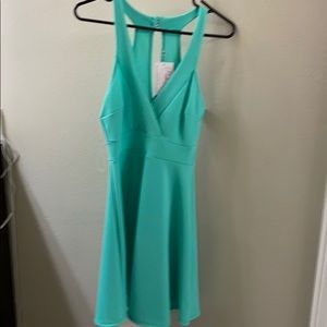 New with tags . Pink lily green dress